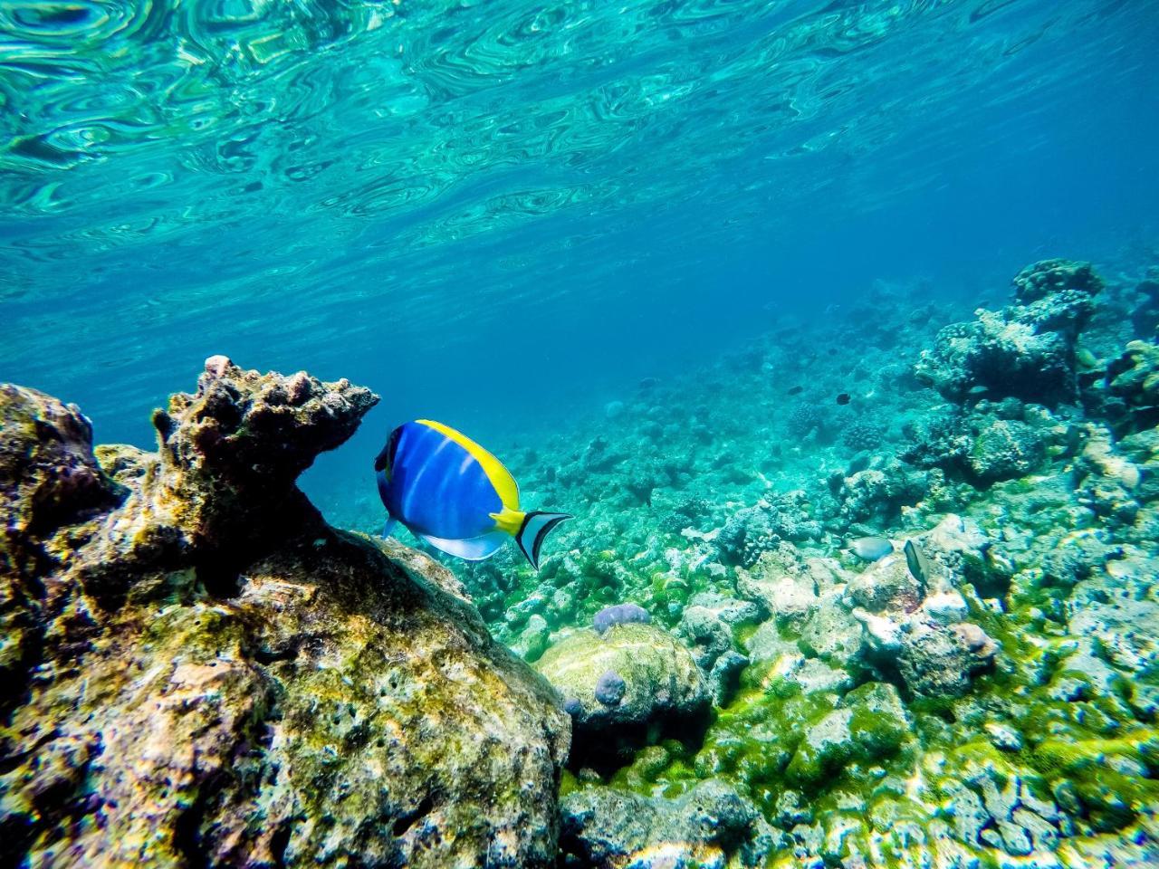 Old Town Inn Maldives Gaafaru Εξωτερικό φωτογραφία