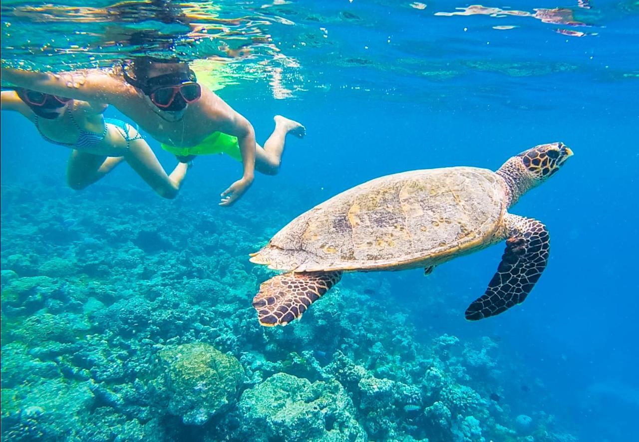 Old Town Inn Maldives Gaafaru Εξωτερικό φωτογραφία